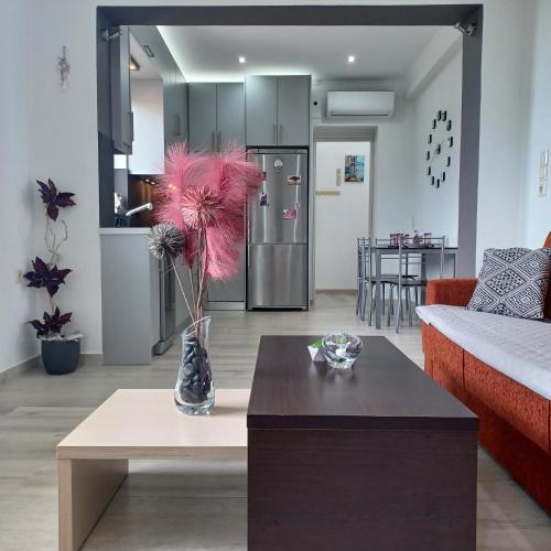 Agios Petros Apartment | Zoggos Apartment