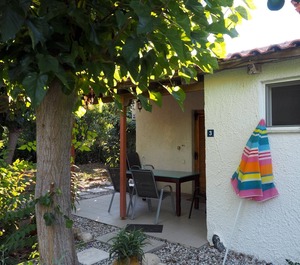 Calm Located Olive Grove The Beach Holiday 