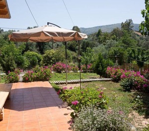 Dramountana 