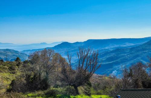 Synikia Mesi Trikalon House | Αρχοντικό Τρικάλων