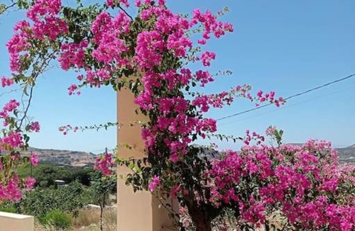 Parakopi Villa | Βίλα για μεγάλες παρέες και οικογένειες