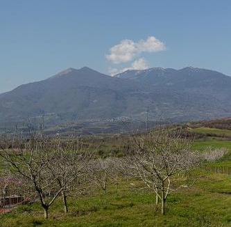 Katerini House | 1 Village House