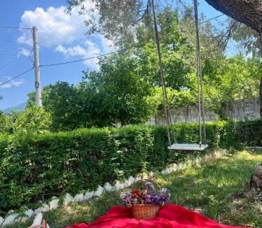 Fushe-Kruje House | 3 Roots Villa