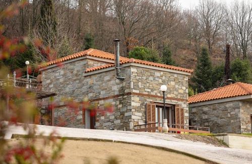 Myki House | 916 Mountain Resort