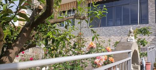 Berat Villa | A&B Berat