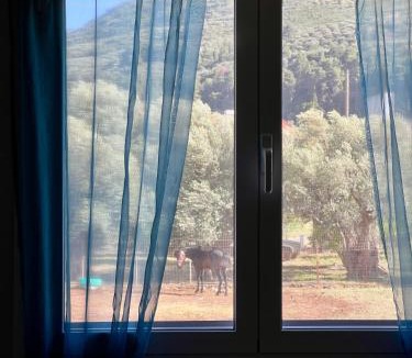 Akrata House | Akratas Brothers House