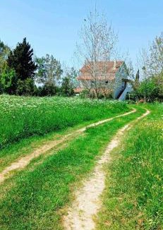 Aktio-Vonitsa House | Aktio Villa Niki