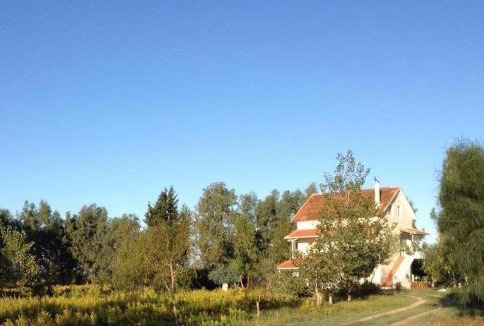 Aktio-Vonitsa House | Aktio Villa Niki