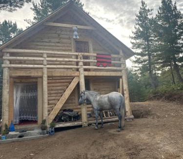 Donji Crnobreg Other | Aleos cabin