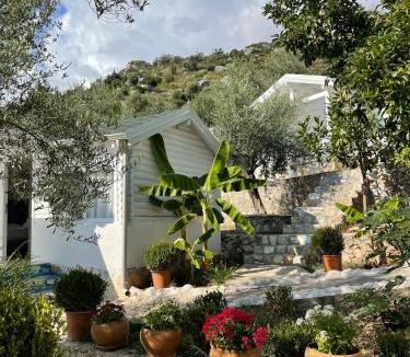 Jala Hotel | ALEVRA