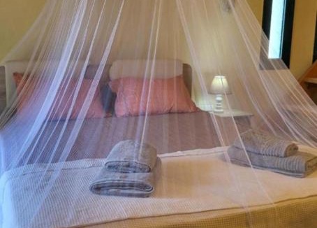 Kavala House | Alexandra Forest House