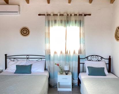 Vasilopoulo House | Alkis Olive Grove Cottage