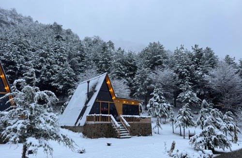 Elbasan House | Alpine Cabins Gjinar