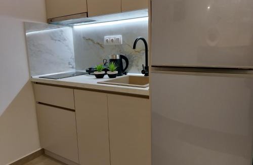 Sithonia Apartment | Althea Two - Sithonia Chalkidiki 250m from the beach