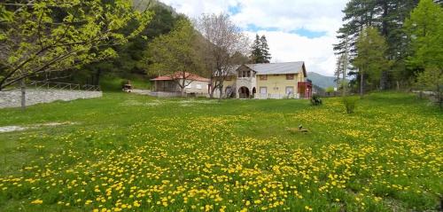 Loutra House | Amarantos