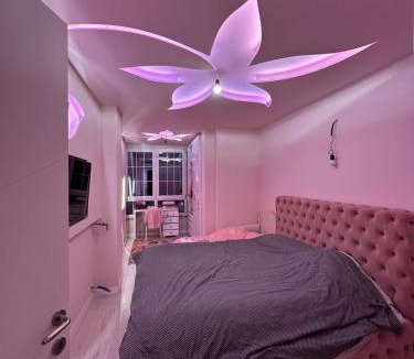 Kashar Apartment | Amla's House
