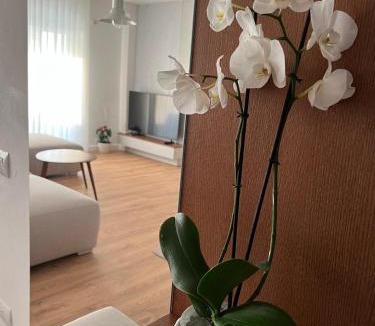 Himare Apartment | Anemos apartments
