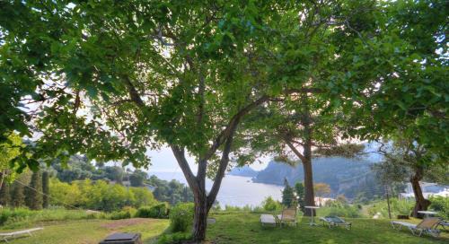 Liapades Apartment | Anna Pension