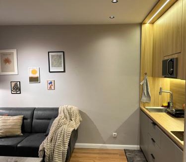 Kolovicë Apartment | Aparte - Tophane 2