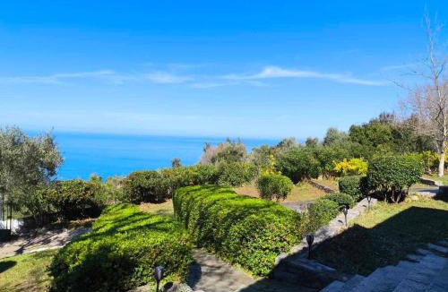 Zagora-Mouresi House | Aphrodite 's cottage