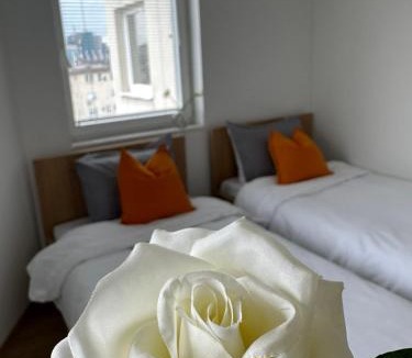 Kolovicë Apartment | Ariacityview