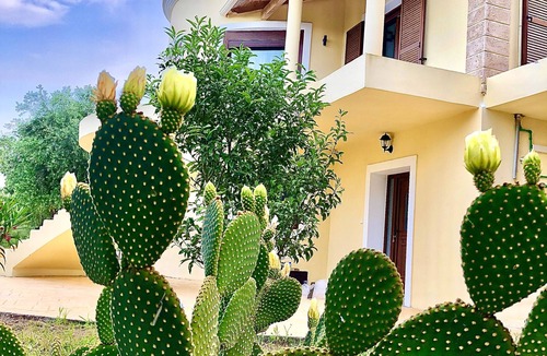 Paleokastritsa Apartment | ARMONIA The area is a short distance from Paliokastritsa