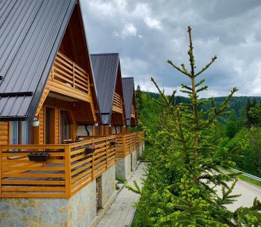 Pejë Ski Chalet | Art Resort