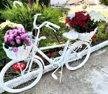 Shkoder Villa | Artists Guest House