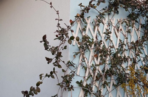 Old Town Apartment | Athina