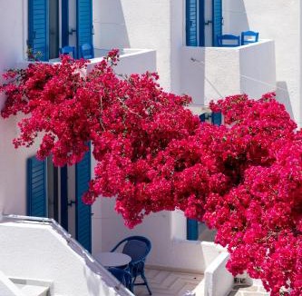 Parikia Hotel | Ayeri Hotel