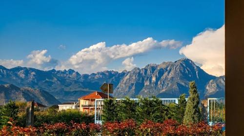 Shkoder County Bed & Breakfast | Ballkan