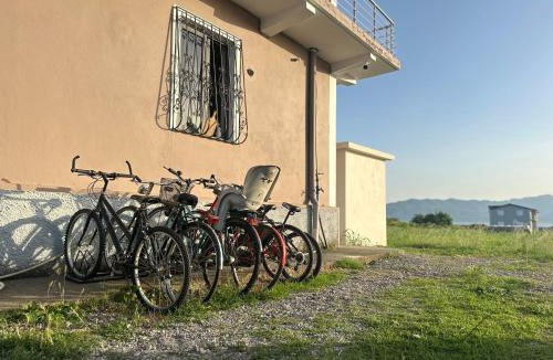 Shkoder County Bed & Breakfast | Ballkan B&B 1