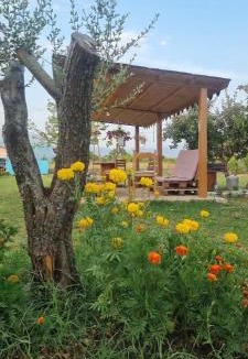 Shkoder County Bed & Breakfast | Ballkan B&B 1