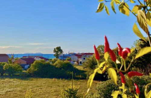 Acharavi Villa | Beach Villa Heart House with private pool by DadoVillas