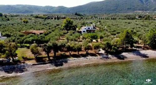 Xirolivado House | Beachfront cottage house in olive grove