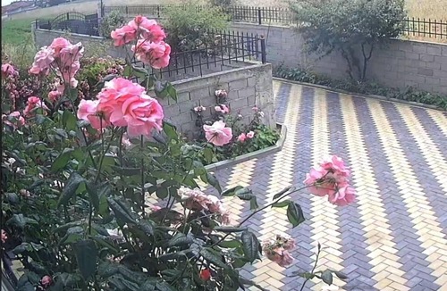 Korce House | Beautiful 1-Bed House in Korce