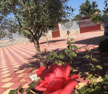 Velipoje Bed & Breakfast | beautiful villa near to the beach