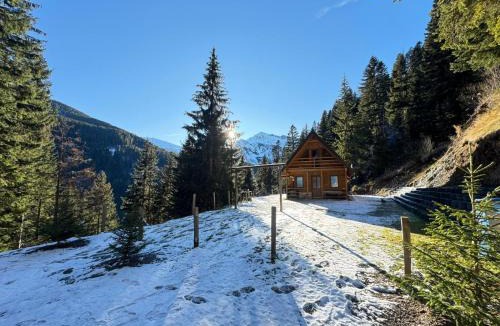 Donji Crnobreg Ski Chalet | Belegu Alpine Vila