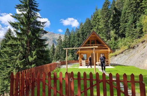 Donji Crnobreg Ski Chalet | Belegu Alpine Vila