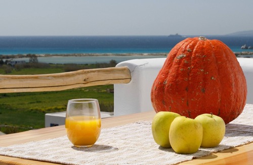 Mikri Vigla Apartment | BH850 - C - Suite Naxos