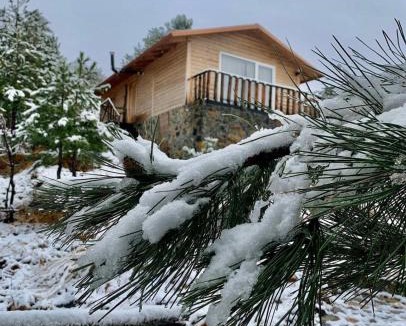 Elbasan County House | BioFarm Gramsh