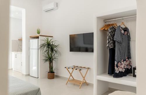 Agios Prokopios Apartment | Birikos Hotel & Suites