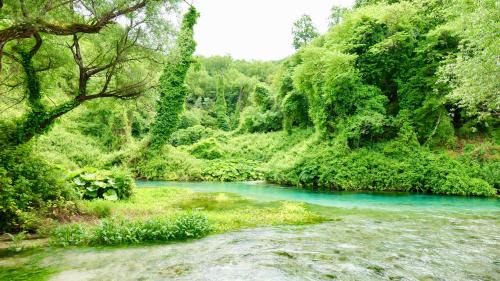 Mesopotam Hotel | Blue Eye Saranda Cabins