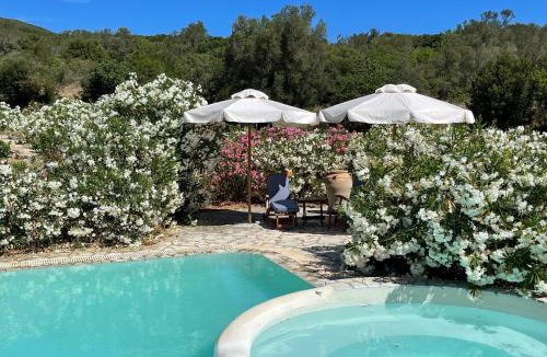 Elation Apartment | Boutique apart-hotel Galini, member of the best small hotels in Greece, Adults only
