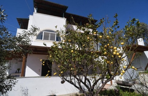Naxos Apartment | Brand new apartment!