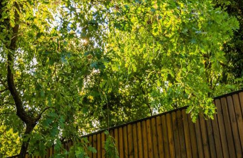 Rade Resort | Bregu Village Spa