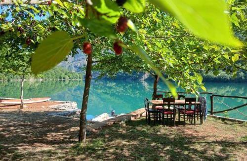 Sakës Other | Bujtina Liqeni i Shkopetit