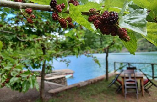 Sakës Other | Bujtina Liqeni i Shkopetit