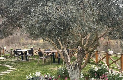 Qerek Bed & Breakfast | Bujtina Topi -Wooden villa among olive grooves
