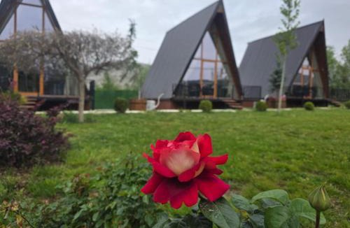 Sakës Ski Chalet | Bujtinat te Mullari